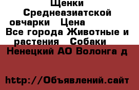 Щенки Среднеазиатской овчарки › Цена ­ 30 000 - Все города Животные и растения » Собаки   . Ненецкий АО,Волонга д.